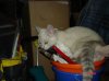 DSC02920.jpg