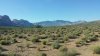 redrock2014002.jpg redrock2014002.jpg