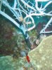 Dive44.jpg