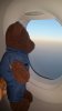 jetbluemint20140010.jpg
