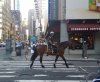 nyc2014037.jpg