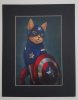 catamerica.jpg