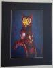 ironcat.jpg