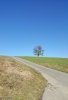 jan2016land001.jpg