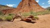 trip2016031.jpg