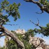 trip2016088.jpg