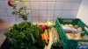 salat-ch002.jpg salat-ch002.jpg