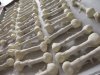 Bones.JPG