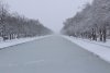 8CE732B4-9C9E-4AFB-9B59-49765DD02994.jpeg