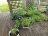 20190619_122121.jpg