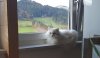 07 Chili am bauernhof.jpg