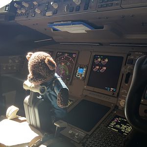 Medium 'Captted2016004f' im Album 'Captain Ted unterwegs (2016)'