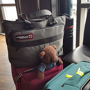 Captted2016001a