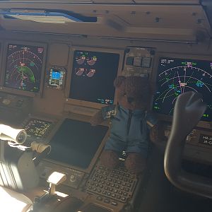 Captted2016004d